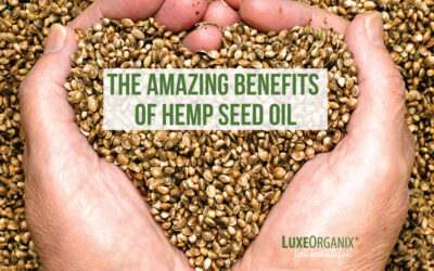 Hemp for Beautiful Hair